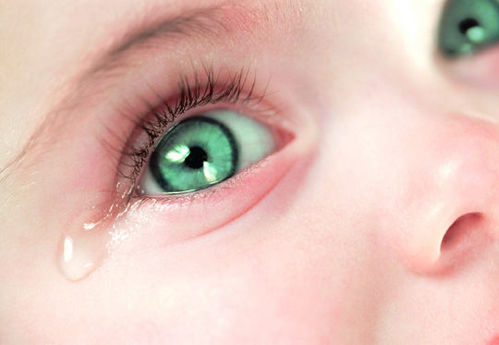 关于眼泪的句子