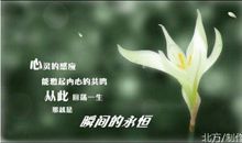 亲人逝世安慰短信