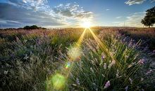 描写大自然景物的成语