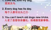 英语谚语不耻下问