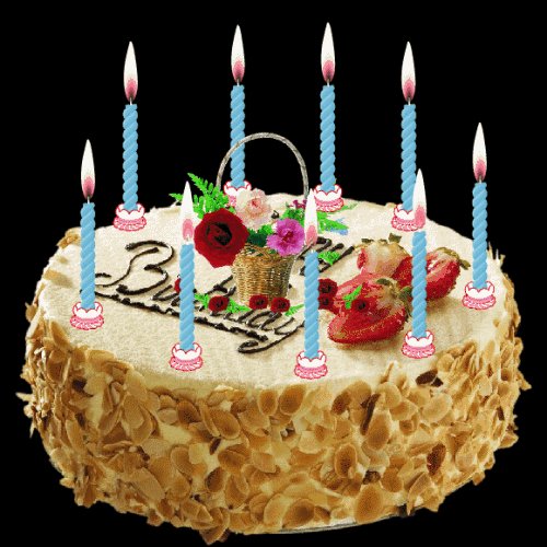 兔子的生日祝福