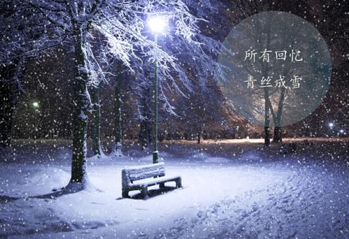 QQ谈雪