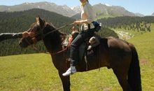 骑马上天山歇后语