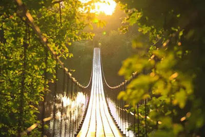 未来之路的审美句子[精选14句] 2