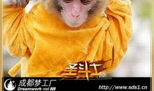 猴子翻跟头歇后语