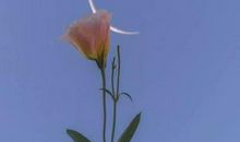 无所畏经典句子