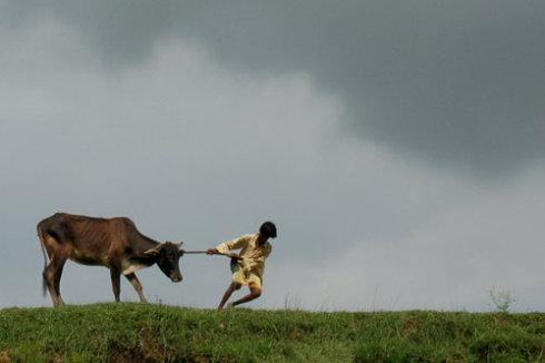 骑单板桥谢厚yu