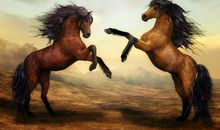 唱戏的骑马歇后语