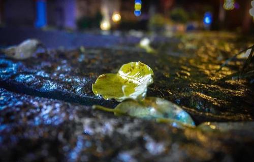 一个细雨的美丽句子