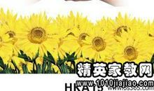 环保的标语用英文说六年级