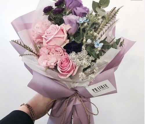 2月2日,Dragon抬起头祝福这句话