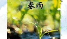 形容春雨的诗句