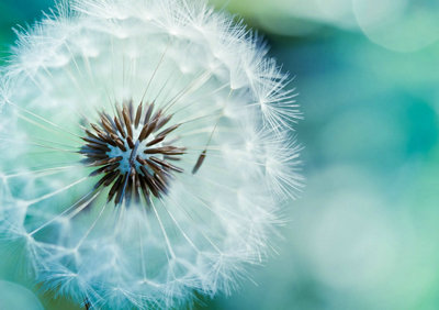 带图片的审美句子：我们只能属于自己1