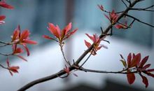 表现时光流逝的诗句