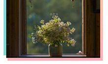 以小见大的谚语