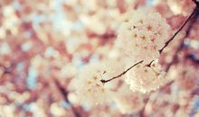 唯美的句子说说图片：心有月光，光不必那么热烈