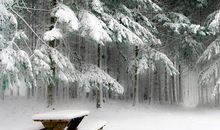 朋友圈下雪的说说