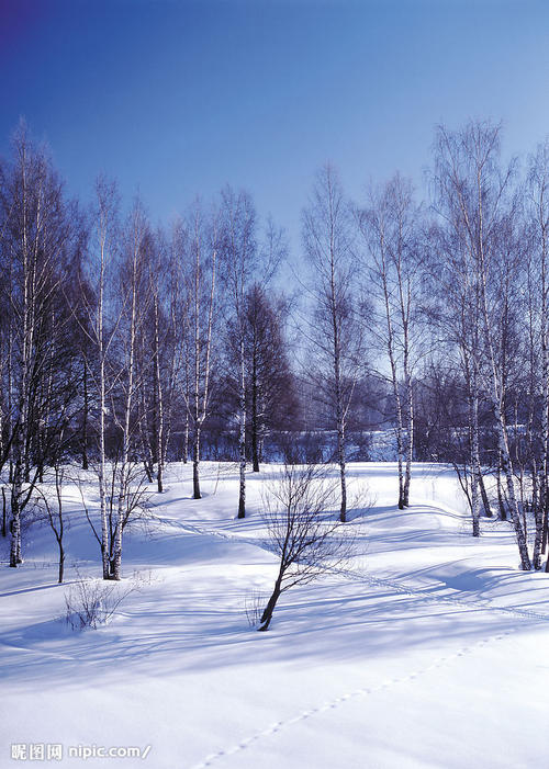 关于冬天的审美句子