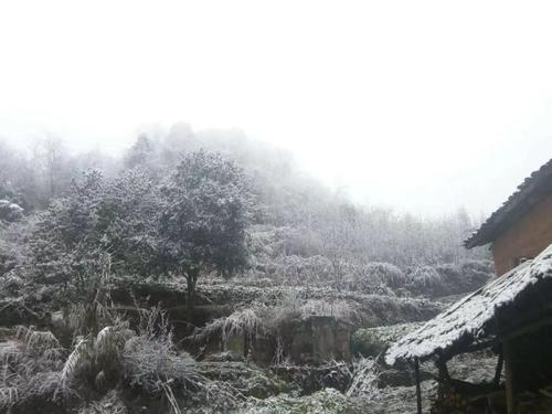 下雪圈的朋友句子