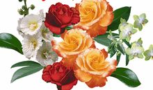 给群里朋友的祝福语