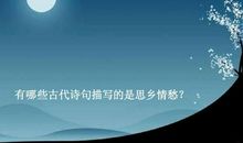 关于思乡的唯美句子