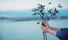 后悔莫及的句子