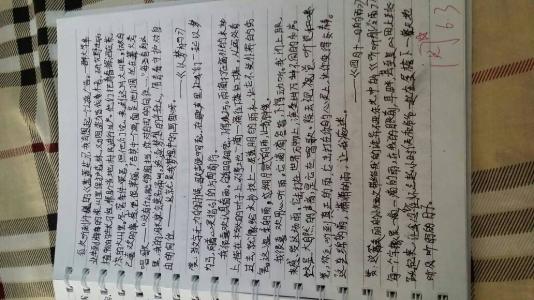 精美摘录的句子