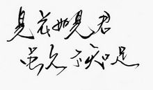 很有诗意的伤感句子