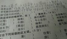 谚语四字词语
