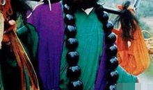 猪八戒掀门帘歇后语