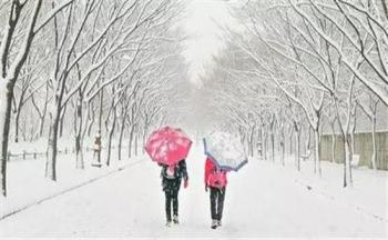 下雪后朋友聊天的时刻