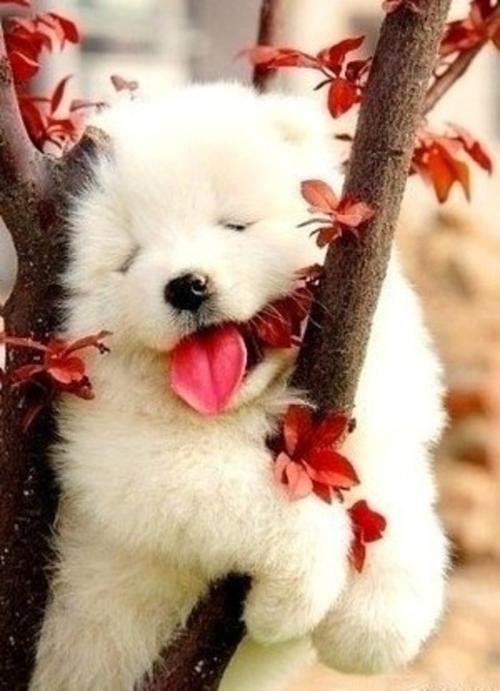 描述安静祥和的诗句