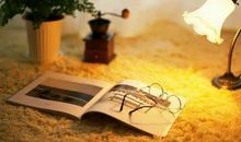 爱情语录短句心酸长的