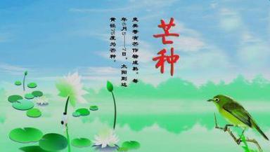 芒种节气的祝福语