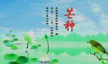 芒种节气的祝福语