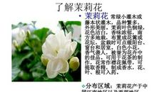 鲜花开放比喻句