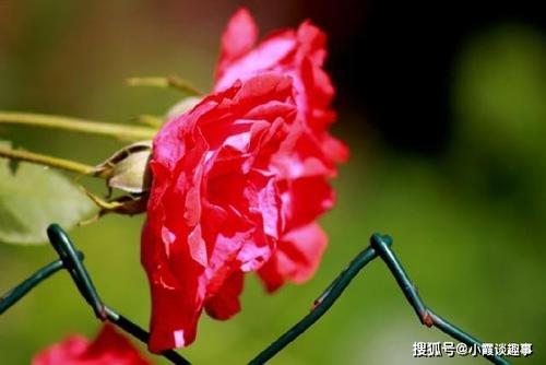 有趣的经典句子