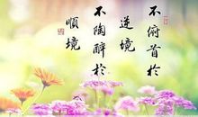 逆境的名言警句