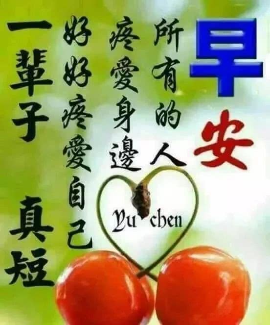 完美的日本愿望