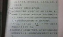 优美句子四年级