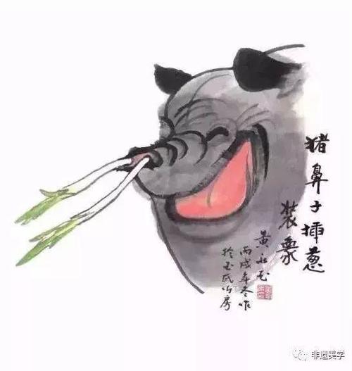 葱猪肉鼻孔