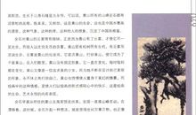 虎生猪猡歇后语