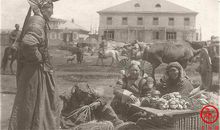 萝卜青菜歇后语