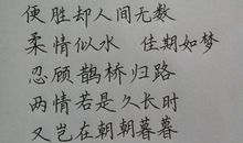 形容精彩人生的诗句