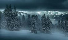 冬天的夜晚句子