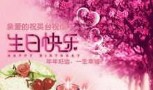 生日快乐祝福语阿姨