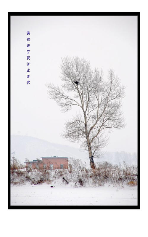 描写冬天的古诗