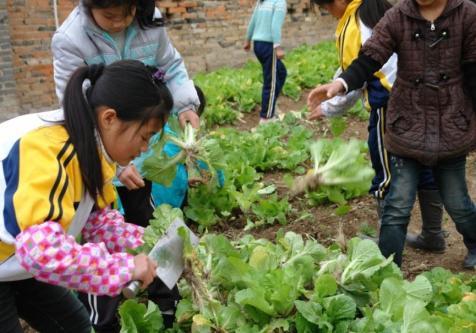 关于蔬菜的英语谚语