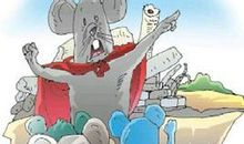 老鼠搬家歇后语