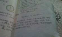 老鼠指路歇后语大全